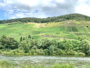 Mosel Lage Reiler Goldlay