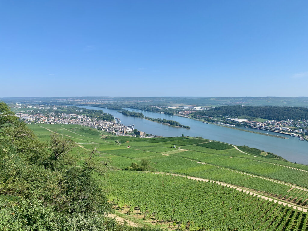 Weinlagen von Rüdesheim am Rhein